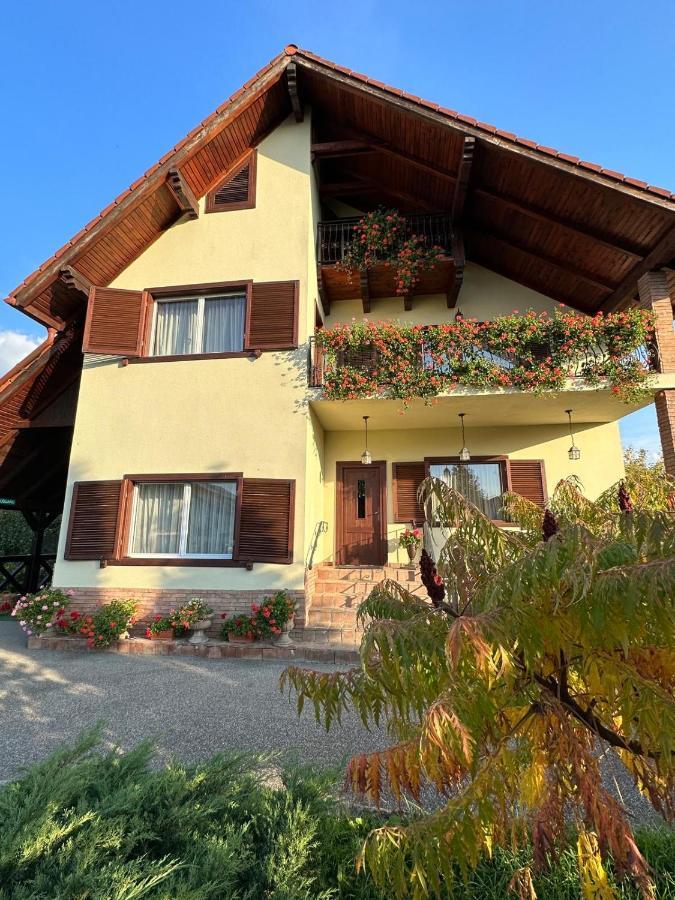 Vila Old Cars Cristian  Exterior foto